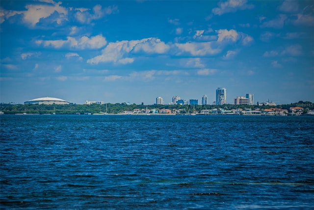 water view featuring a city view