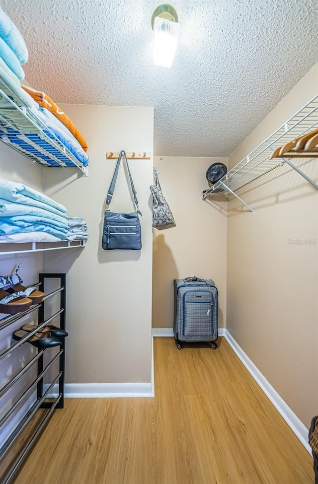 walk in closet featuring wood finished floors