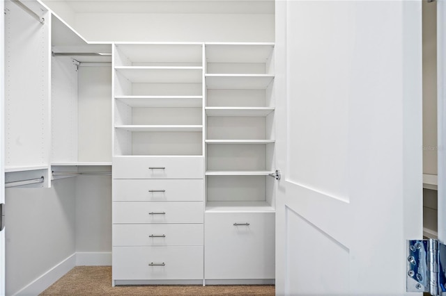 spacious closet with carpet