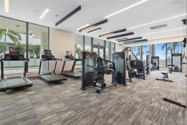 workout area featuring floor to ceiling windows, plenty of natural light, and carpet flooring