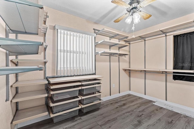 spacious closet with ceiling fan and wood finished floors