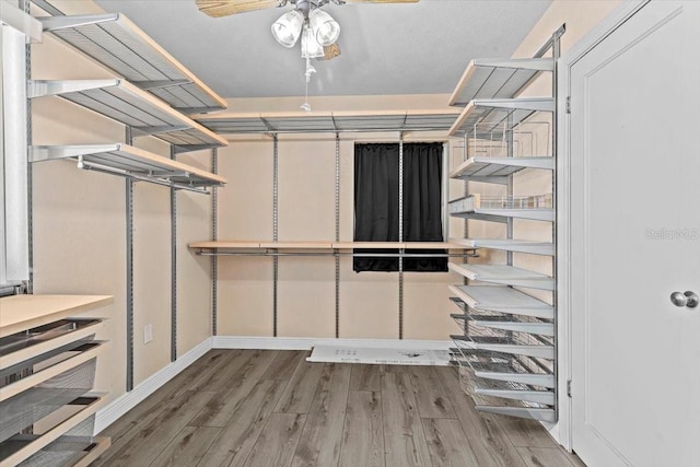 walk in closet featuring wood finished floors and a ceiling fan