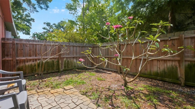 4424 19th St N, Saint Petersburg, FL 33714 - photo 26