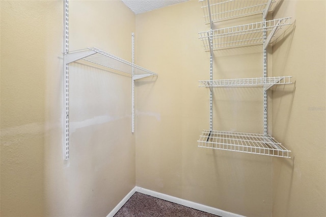 spacious closet featuring carpet