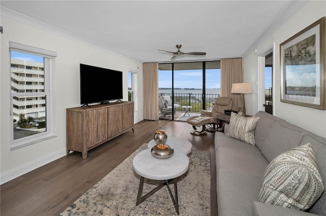 living room featuring dark wood-style flooring, floor to ceiling windows, crown molding, ceiling fan, and baseboards