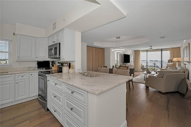 kitchen with stainless steel appliances, open floor plan, a raised ceiling, and dark wood finished floors