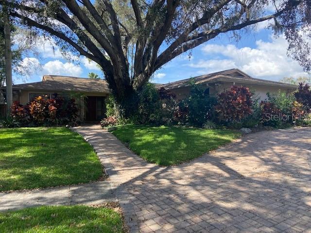 13304 Meadowwood Ct, Tampa, FL 33618 - ranch-style home with a front lawn