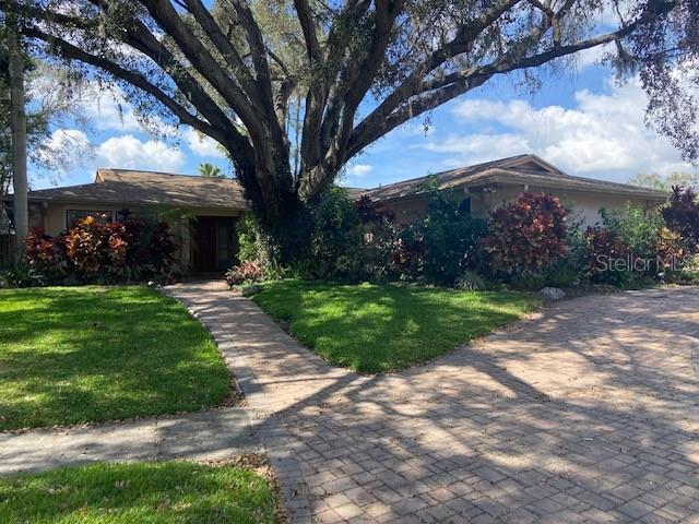 ranch-style home with a front lawn