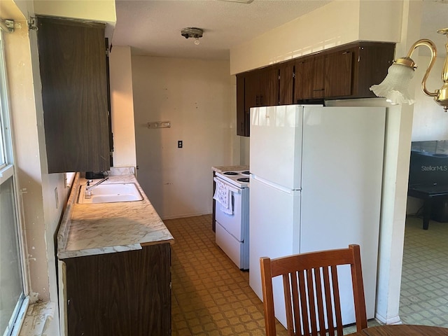 kitchen with white appliances, a sink, light countertops, dark brown cabinets, and light floors