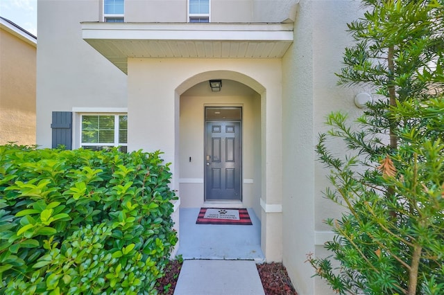 view of exterior entry featuring stucco siding