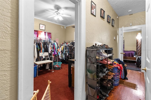 spacious closet with ceiling fan and wood finished floors