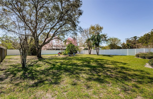 view of yard with a fenced backyard