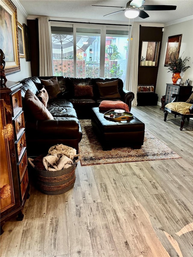 living area featuring ceiling fan, crown molding, and wood finished floors