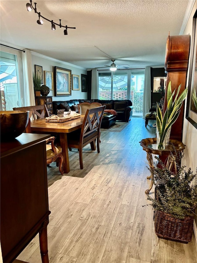 dining area with ornamental molding, wood-type flooring, ceiling fan, and a textured ceiling