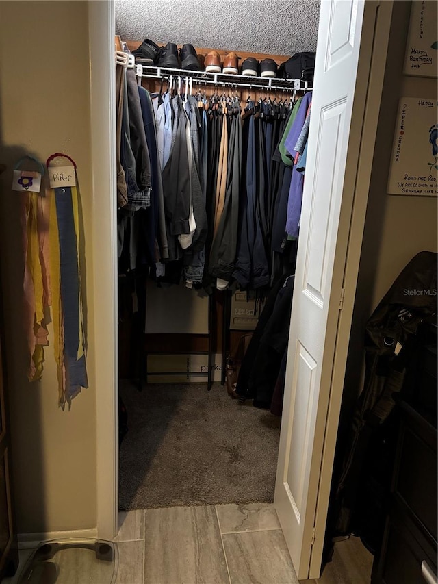 spacious closet featuring light colored carpet