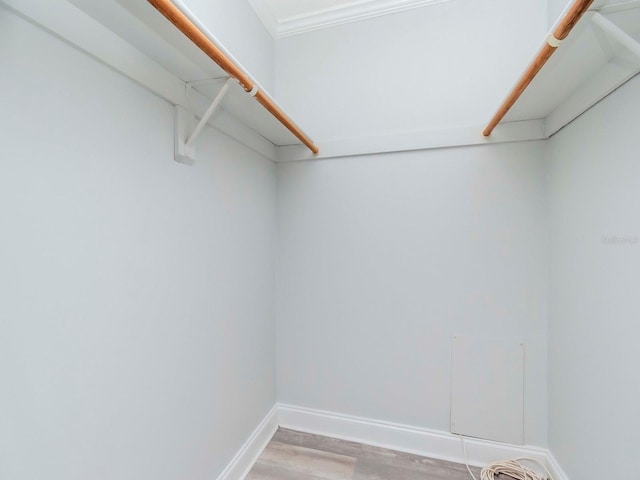 spacious closet with light wood-style floors