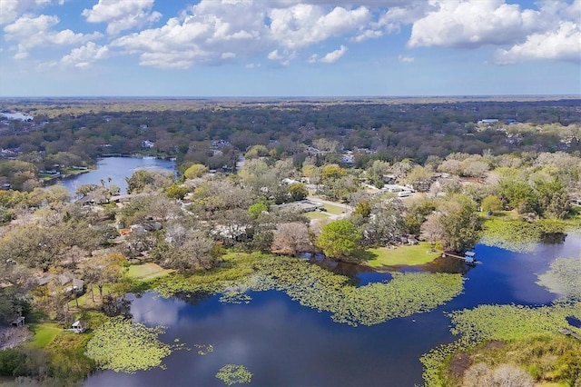 aerial view with a water view and a wooded view