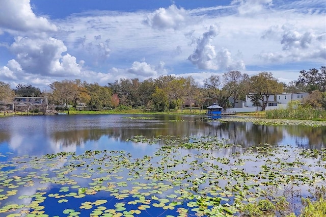 view of water feature