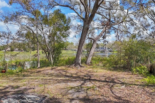 view of local wilderness