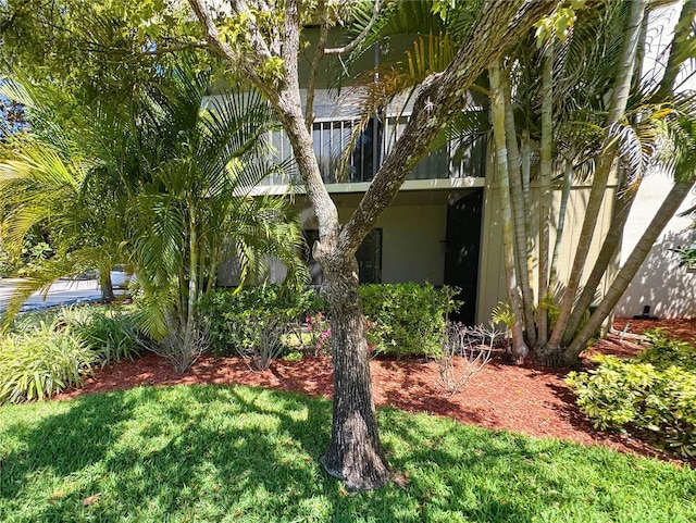 3300 Fox Chase Cir N Unit 229, Palm Harbor, FL 34683 - view of green lawn