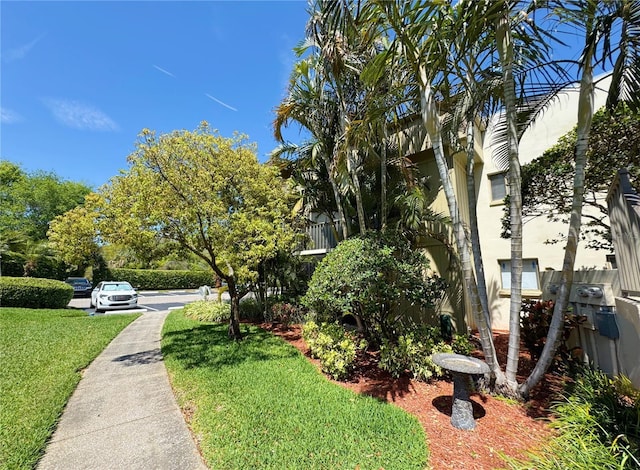 3300 Fox Chase Cir N Unit 229, Palm Harbor, FL 34683 - view of home's exterior with a yard
