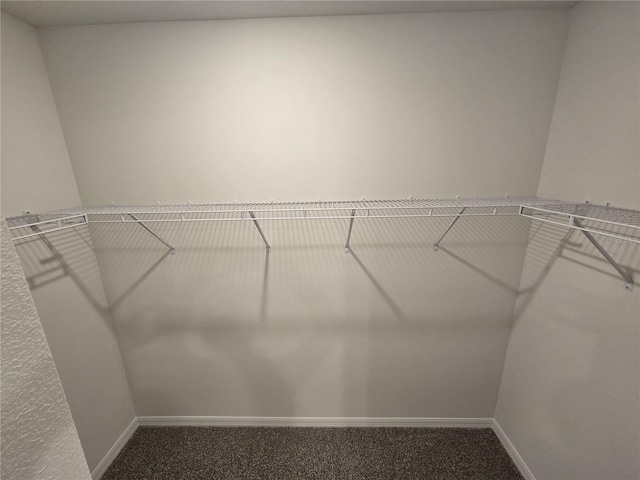 spacious closet featuring carpet flooring