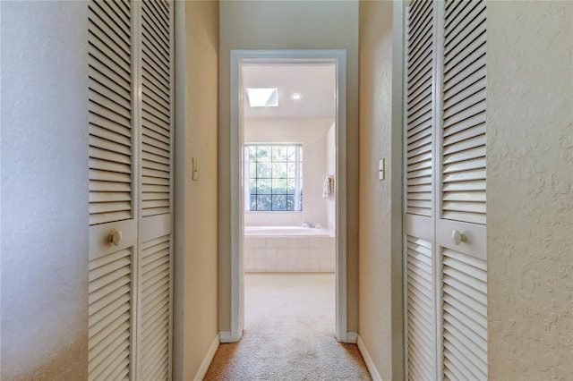 corridor featuring a textured wall, carpet floors, and baseboards