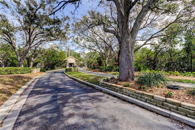 view of street featuring curbs