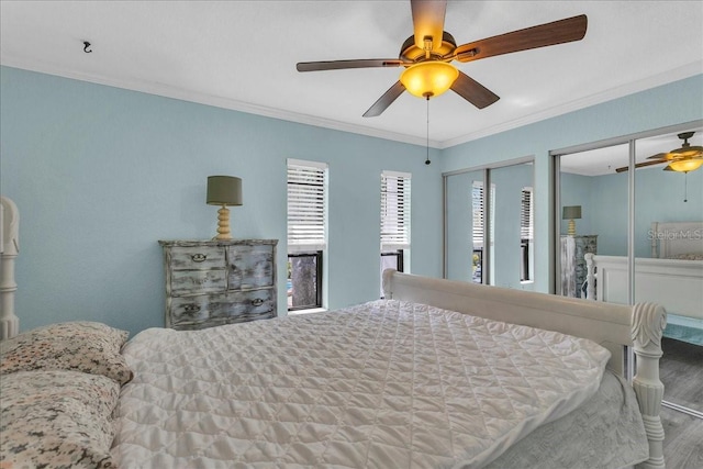 bedroom with a ceiling fan, ornamental molding, two closets, and wood finished floors