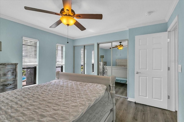 bedroom with ornamental molding, ceiling fan, wood finished floors, and two closets