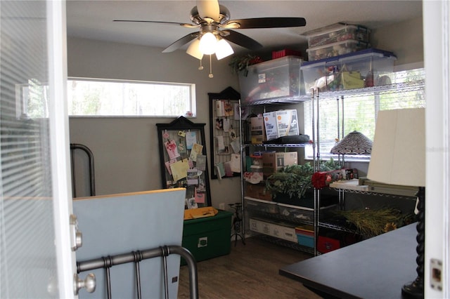 kitchen with wood finished floors and a ceiling fan