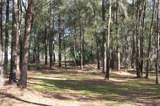 view of local wilderness featuring a view of trees