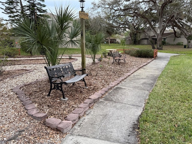 view of community featuring a yard