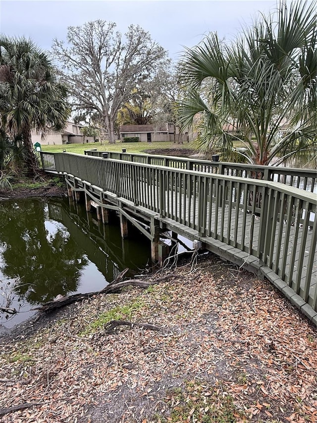 dock area with a water view