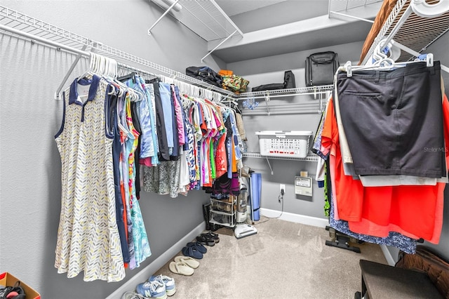 walk in closet featuring carpet flooring