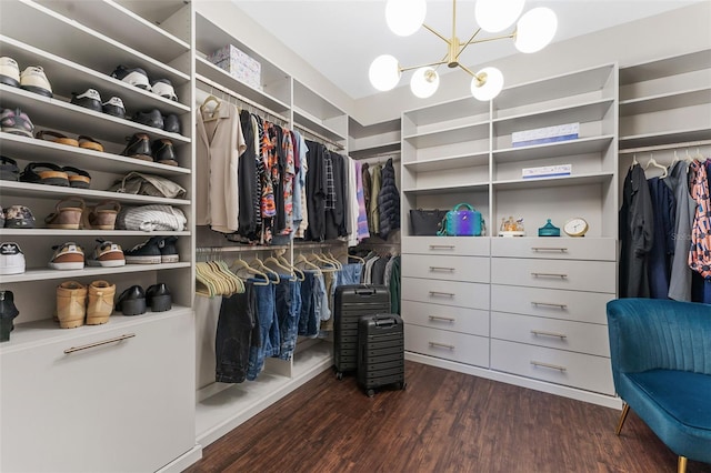 walk in closet with dark wood-style floors and a chandelier