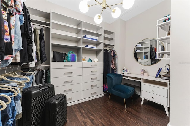 walk in closet with a chandelier and dark wood finished floors