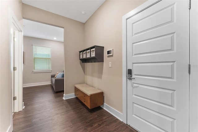 mudroom featuring baseboards and dark wood-style flooring