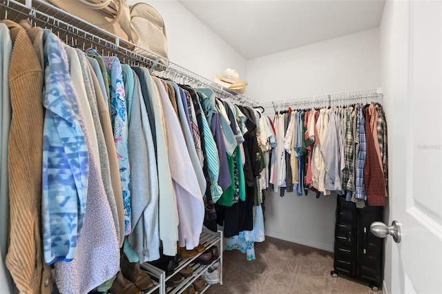 spacious closet featuring carpet floors