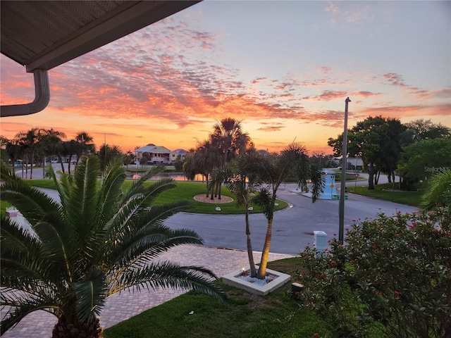 5241 W Shore Dr, New Port Richey, FL 34652 - view of asphalt road featuring street lighting