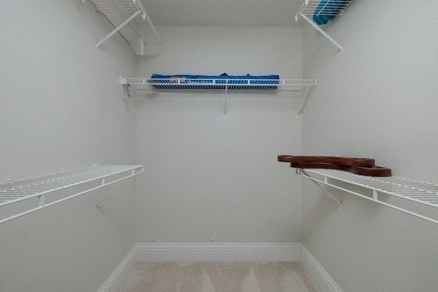 walk in closet with carpet floors