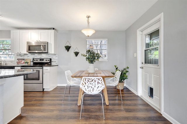 dining room featuring dark wood-style floors, plenty of natural light, and baseboards