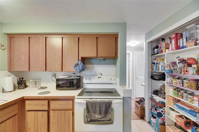 4111 Moog Rd, Holiday, FL 34691 - photo 12