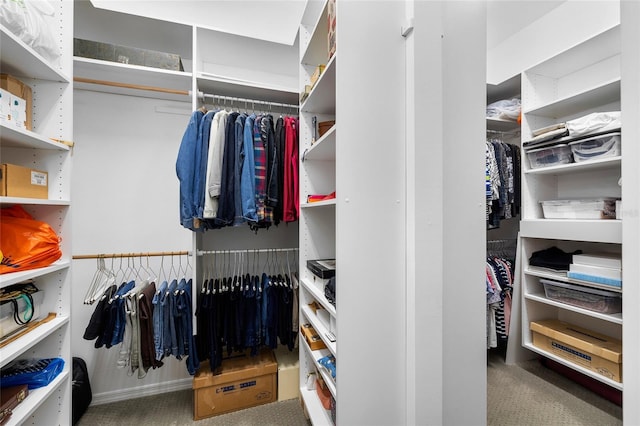 view of walk in closet