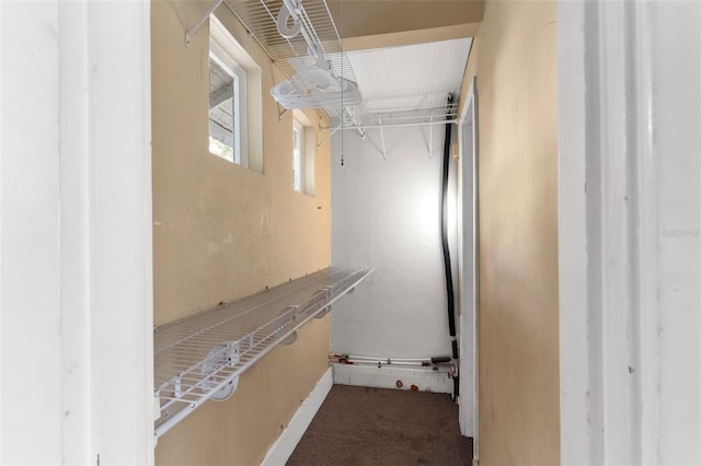 spacious closet with carpet