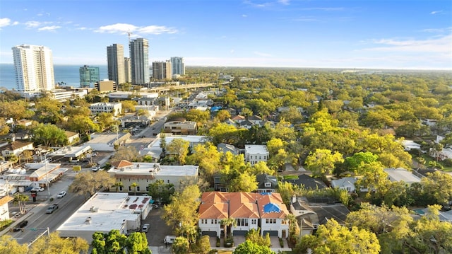 birds eye view of property with a view of city