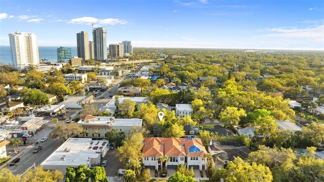 drone / aerial view featuring a view of city