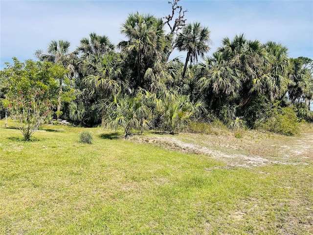 Conus Ave, North Port FL, 34288 land for sale