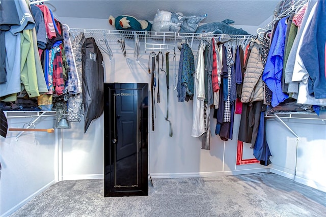 spacious closet featuring carpet flooring