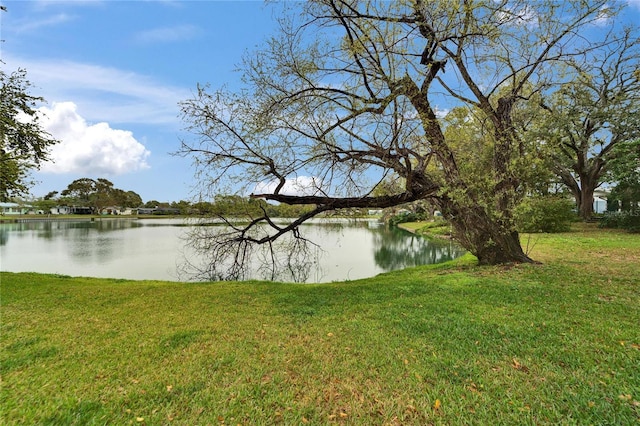 water view